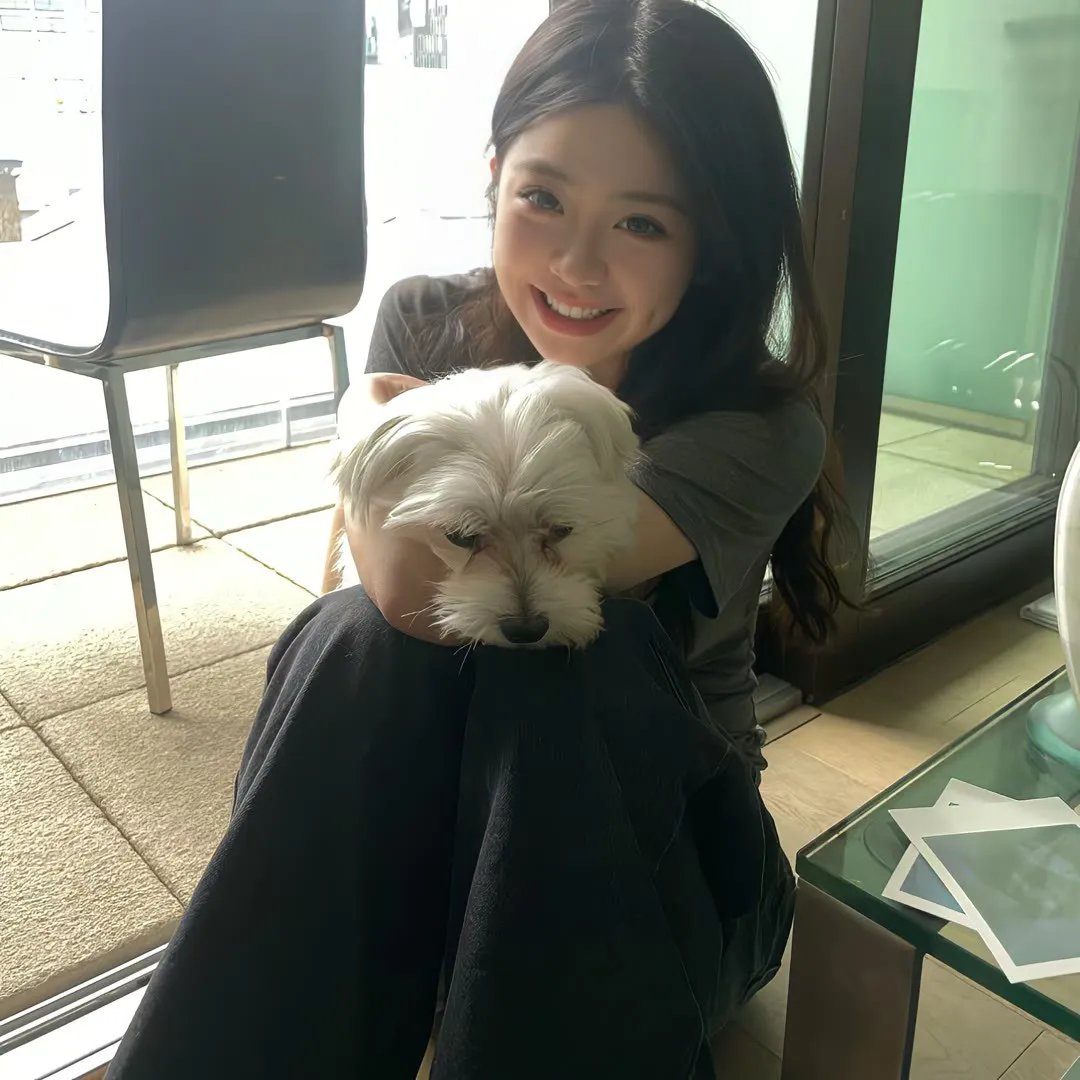 元首的面孔