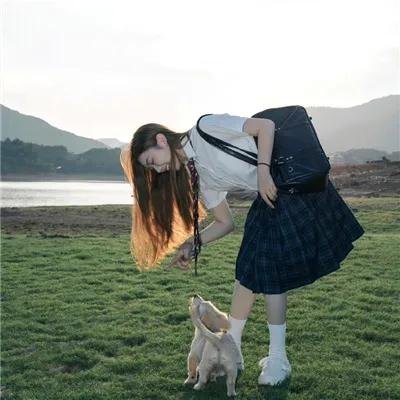 误入君梦